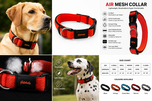 Air Mesh Collar