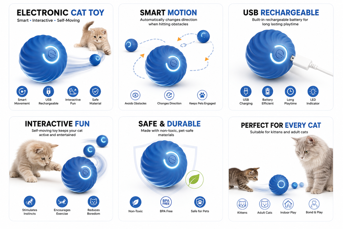 Smart Interactive Ball